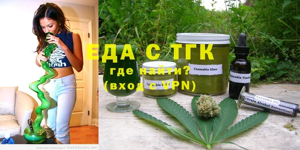 гашик Бородино