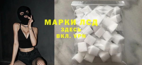 гашик Бородино