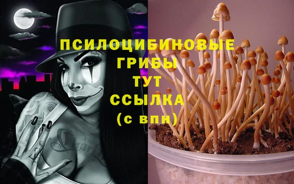 марки lsd Бронницы