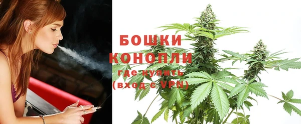 гашик Бородино